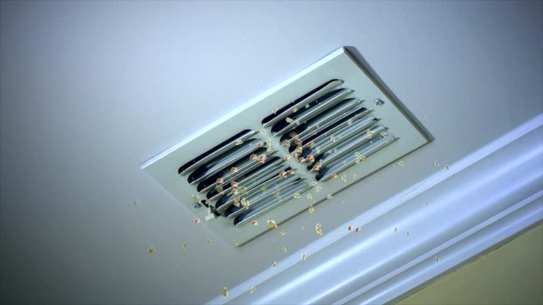 Best Ductwork Cleaning Services  in Cloverport, KY